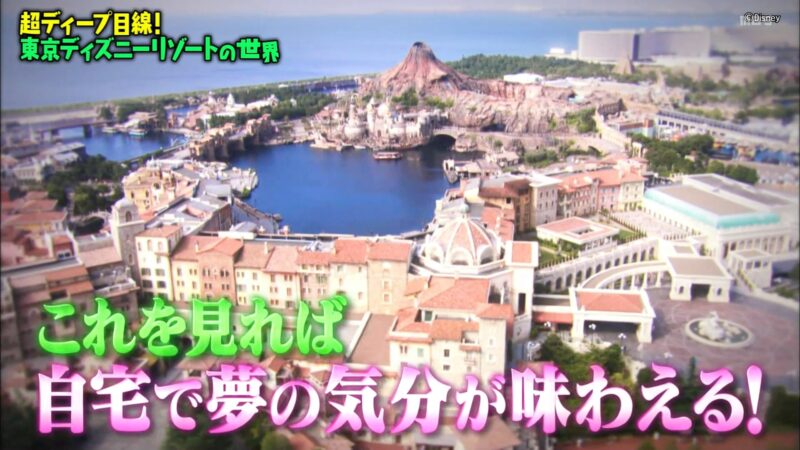 【マツコの知らない世界~東京ディズニーリゾート~】をご紹介!ゲスト:風間俊介さん