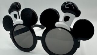 【ディズニーコレクション#006】蒸気船ウィリーのサングラス！パークで1日使ってみた正直な感想 