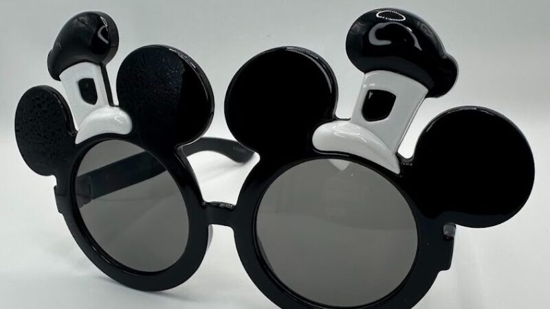 【ディズニーコレクション#006】蒸気船ウィリーのサングラス！パークで1日使ってみた正直な感想 