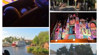 【2025年版】久しぶりのディズニーランドが変わってた！”今こそ乗るべき”アトラクション5選 
