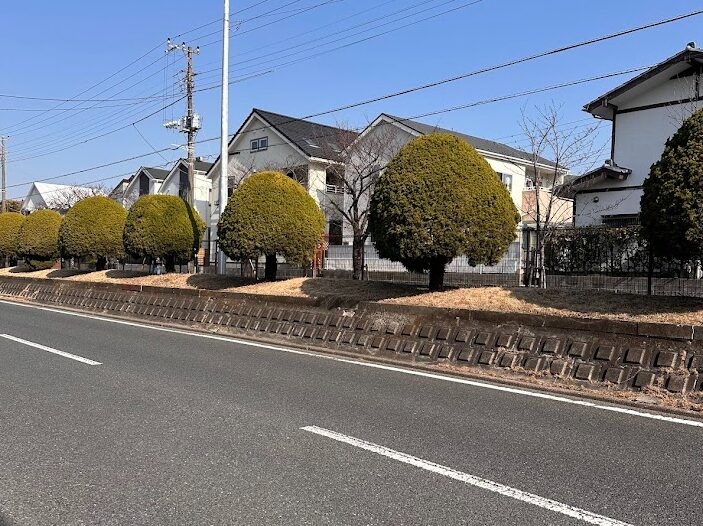 堀江・東野エリア(生活重視のリアリスト)